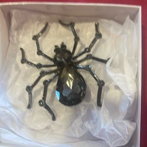 Beautiful spider brooch
